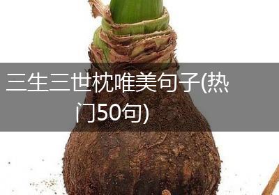 三生三世枕唯美句子(热门50句)