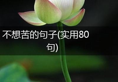 不想苦的句子(实用80句)
