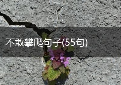 不敢攀爬句子(55句)