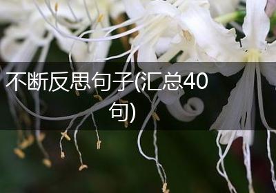 不断反思句子(汇总40句)