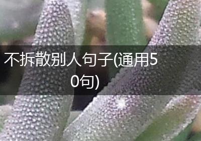 不拆散别人句子(通用50句)