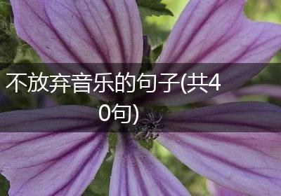 不放弃音乐的句子(共40句)