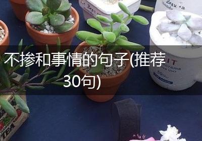 不掺和事情的句子(推荐30句)