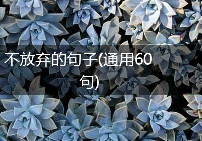 不放弃的句子(通用60句)