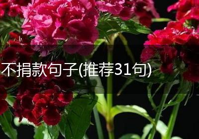 不捐款句子(推荐31句)