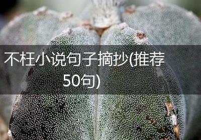不枉小说句子摘抄(推荐50句)