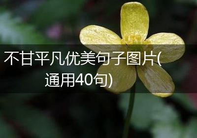 不甘平凡优美句子图片(通用40句)