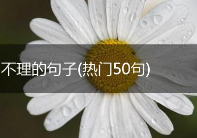 不理的句子(热门50句)