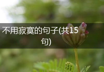 不用寂寞的句子(共15句)
