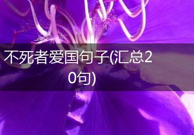 不死者爱国句子(汇总20句)