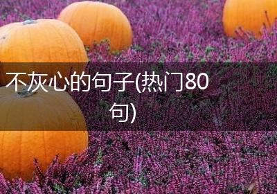 不灰心的句子(热门80句)