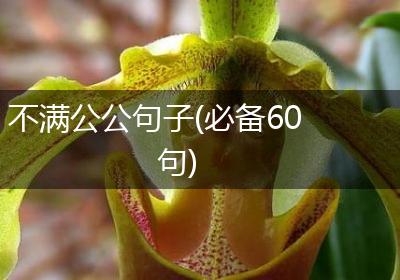 不满公公句子(必备60句)