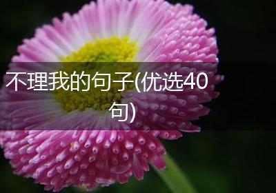 不理我的句子(优选40句)