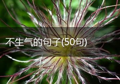 不生气的句子(50句)