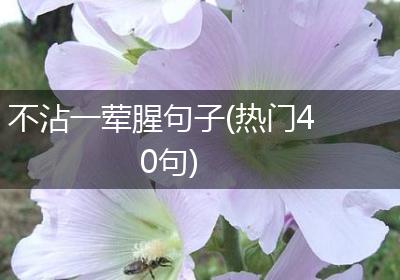 不沾一荤腥句子(热门40句)