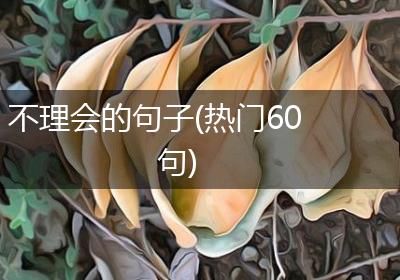 不理会的句子(热门60句)
