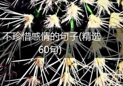 不珍惜感情的句子(精选60句)