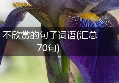 不欣赏的句子词语(汇总70句)