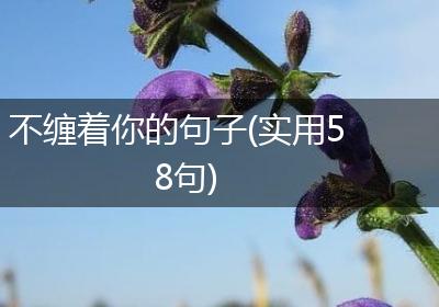 不缠着你的句子(实用58句)