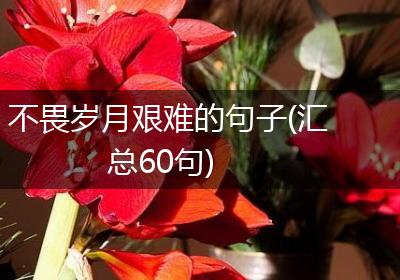 不畏岁月艰难的句子(汇总60句)