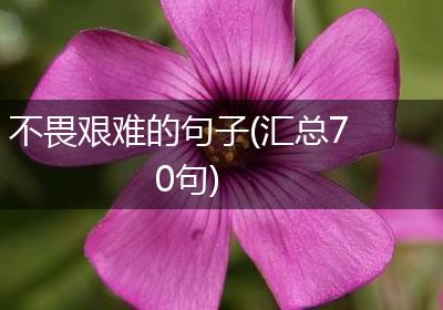 不畏艰难的句子(汇总70句)