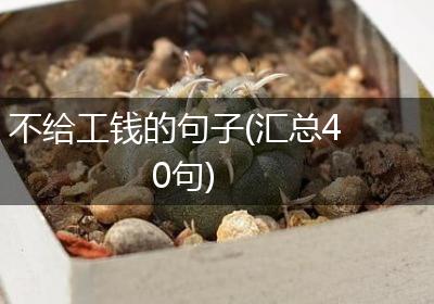 不给工钱的句子(汇总40句)
