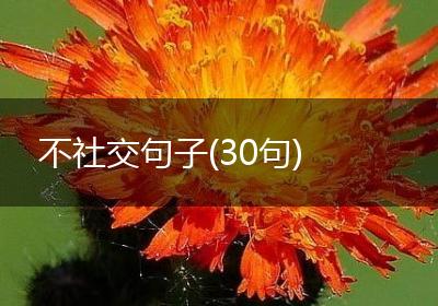 不社交句子(30句)