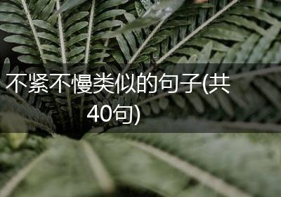 不紧不慢类似的句子(共40句)