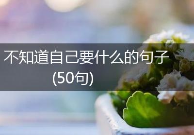 不知道自己要什么的句子(50句)