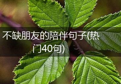 不缺朋友的陪伴句子(热门40句)