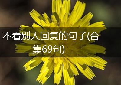 不看别人回复的句子(合集69句)