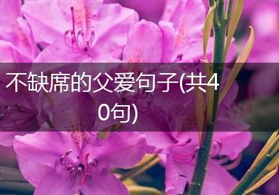 不缺席的父爱句子(共40句)