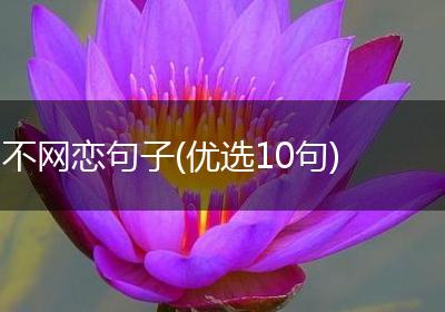 不网恋句子(优选10句)