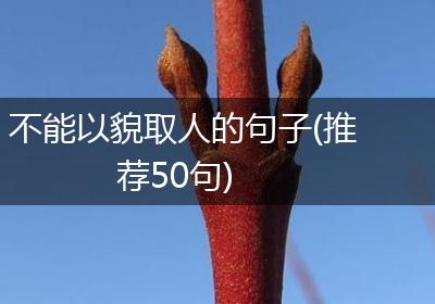 不能以貌取人的句子(推荐50句)