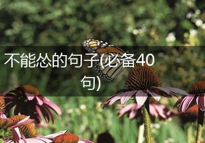 不能怂的句子(必备40句)