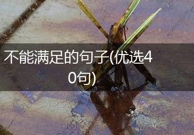 不能满足的句子(优选40句)