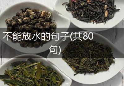 不能放水的句子(共80句)