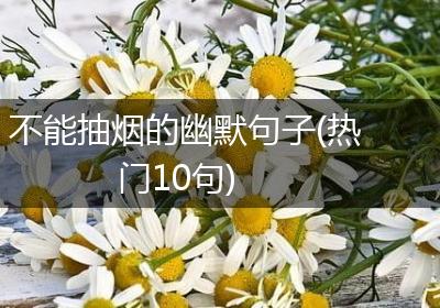 不能抽烟的幽默句子(热门10句)