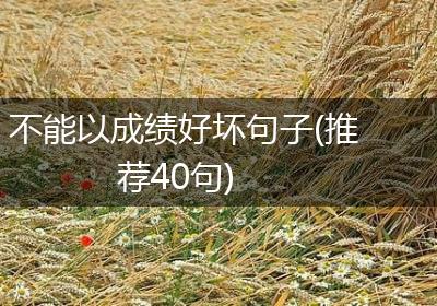 不能以成绩好坏句子(推荐40句)