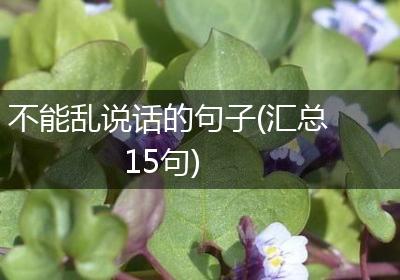 不能乱说话的句子(汇总15句)