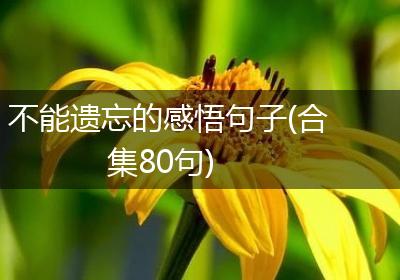 不能遗忘的感悟句子(合集80句)