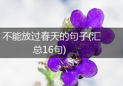 不能放过春天的句子(汇总16句)