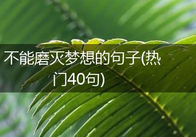 不能磨灭梦想的句子(热门40句)