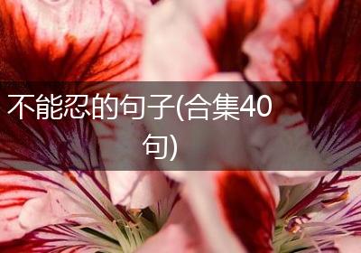 不能忍的句子(合集40句)