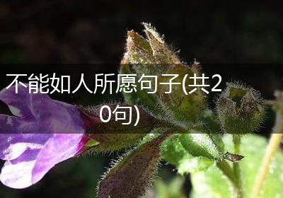 不能如人所愿句子(共20句)