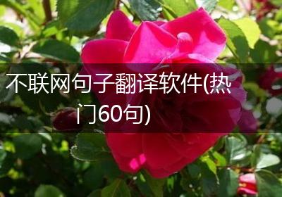 不联网句子翻译软件(热门60句)