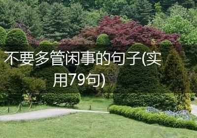 不要多管闲事的句子(实用79句)
