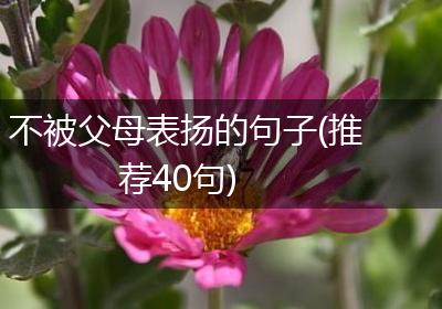 不被父母表扬的句子(推荐40句)