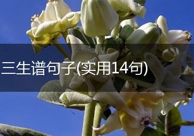 三生谱句子(实用14句)