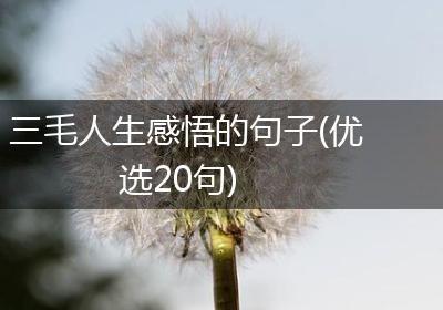 三毛人生感悟的句子(优选20句)
